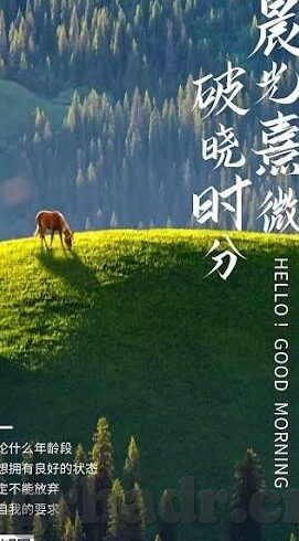 91麻豆精品av-不凡之选——探究91麻豆精品AV的独特魅力