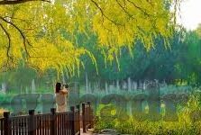 麻豆传媒映画映-麻豆传媒映画，艺术与现实的交融体验