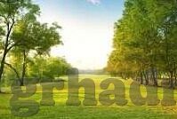 糖心vlog福利版下载-探索特殊兴趣的边界，糖心Vlog福利版深度体验分享